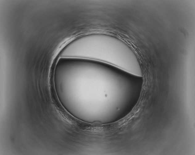 X0000113260104200909101258