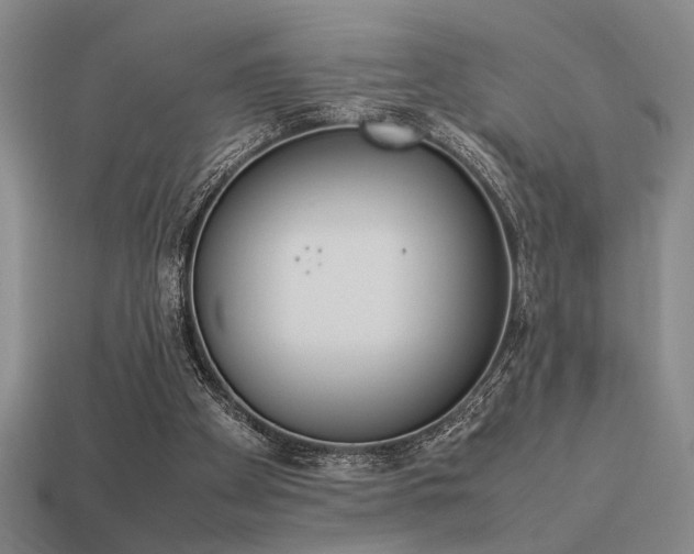 X0000113260105200909101258