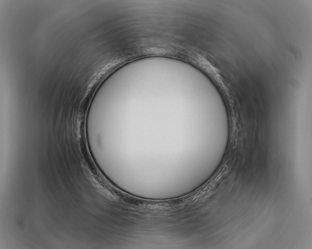 X0000113260106200909101258