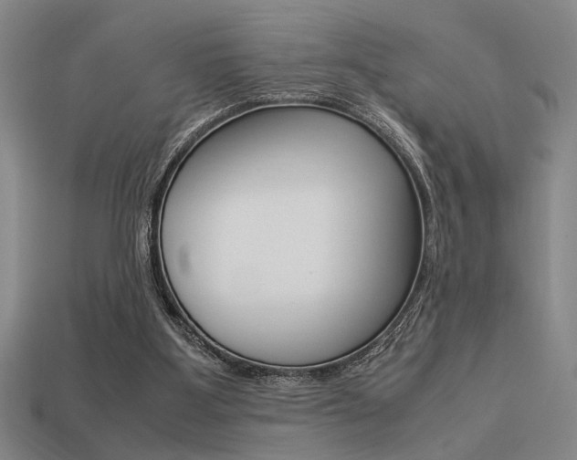 X0000113260107200909101258