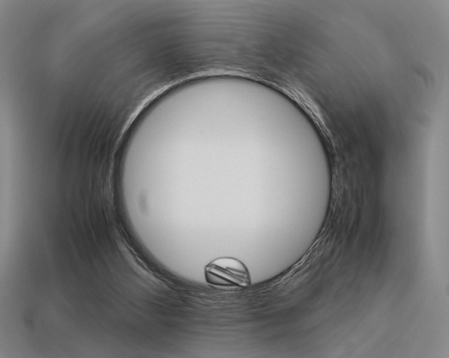 X0000113260108200909101258