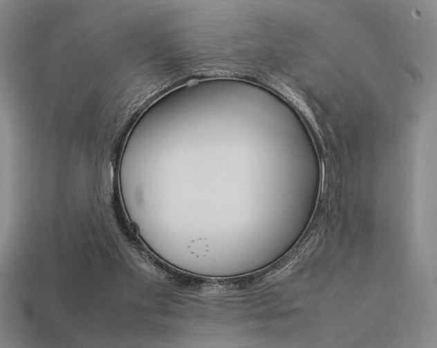 X0000113260109200909101258