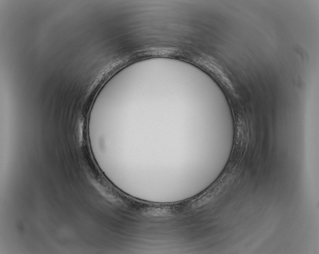 X0000113260110200909101258