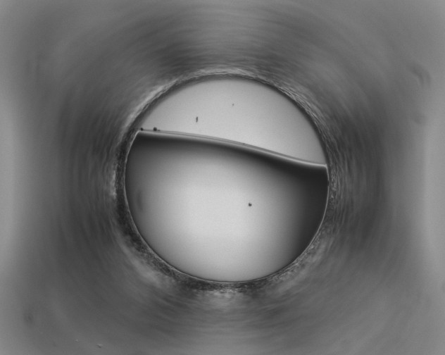 X0000113260112200909101258