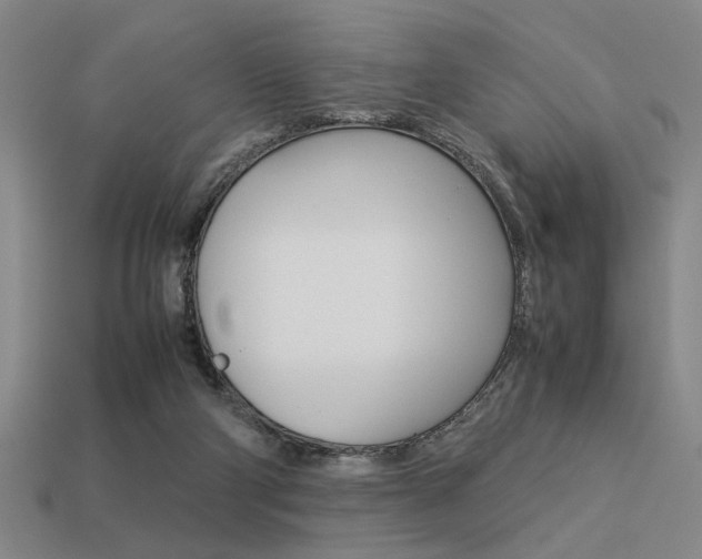 X0000113260114200909101258