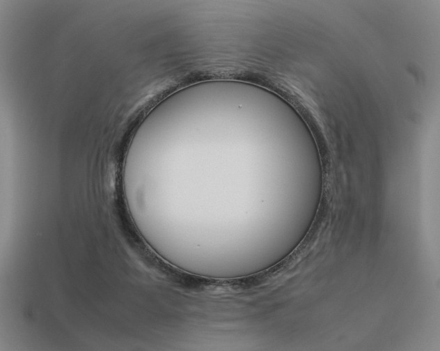 X0000113260115200909101258