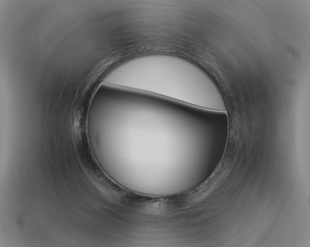 X0000113260116200909101258