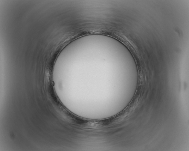 X0000113260117200909101258