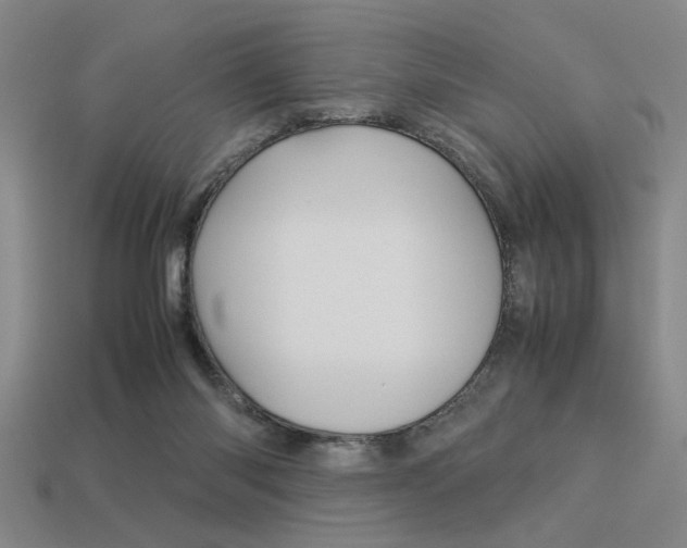 X0000113260118200909101258