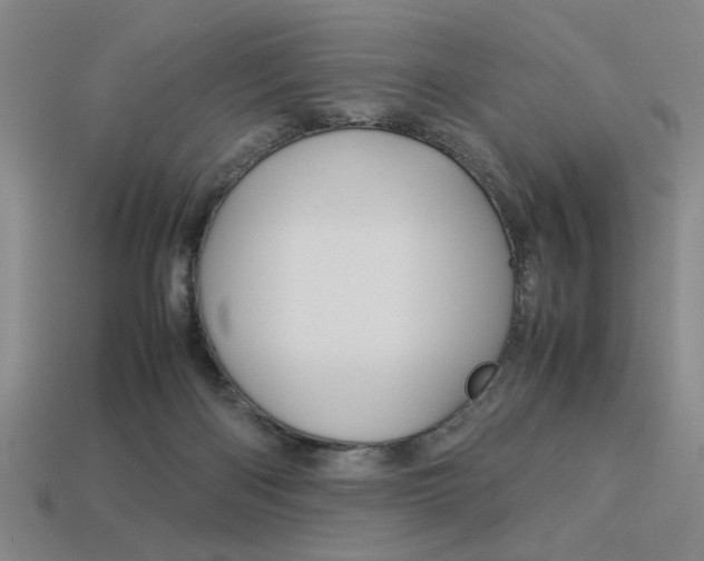 X0000113260122200909101258