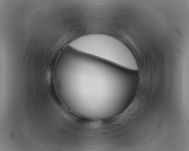 X0000113260124200909101258