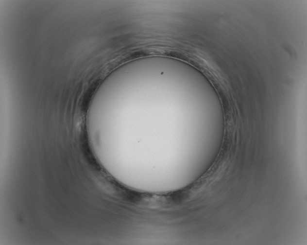 X0000113260125200909101258