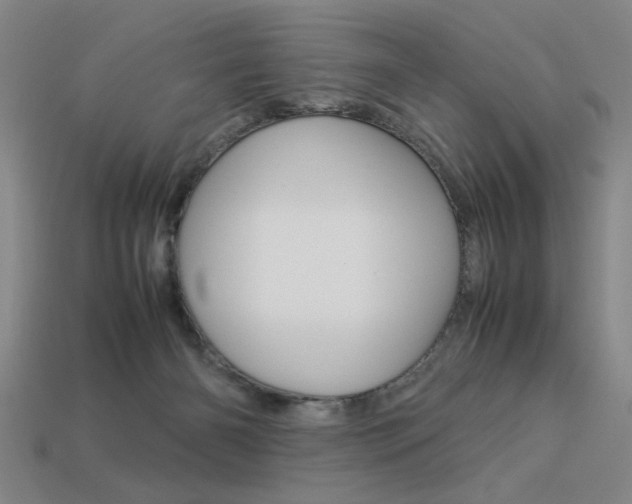 X0000113260126200909101258