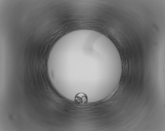 X0000113260128200909101258