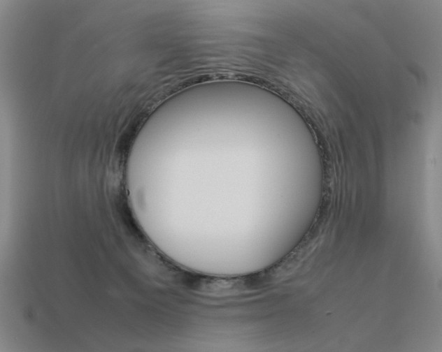 X0000113260129200909101258