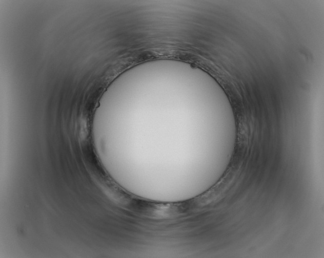 X0000113260130200909101258