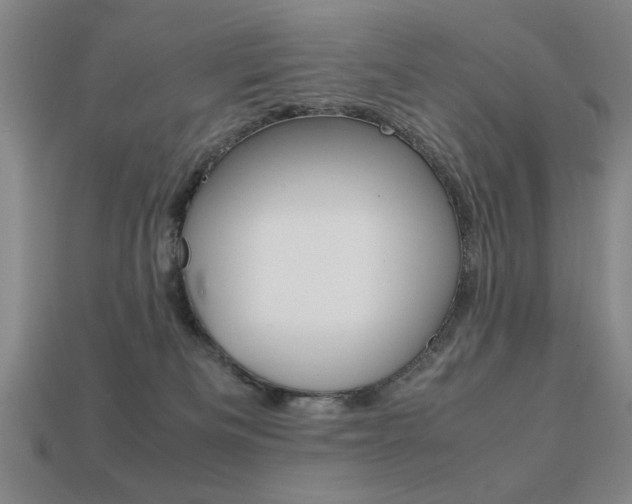 X0000113260133200909101258