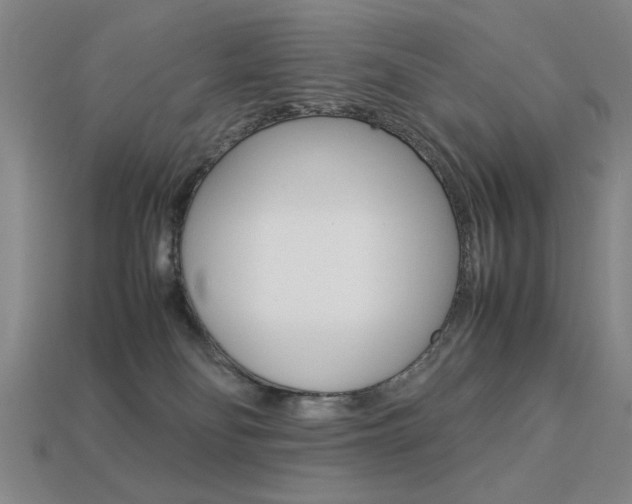 X0000113260134200909101258