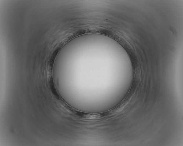 X0000113260135200909101258