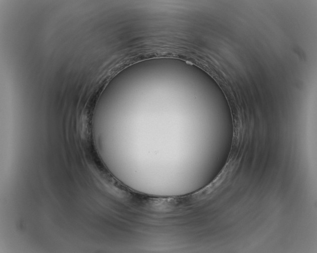 X0000113260136200909101258