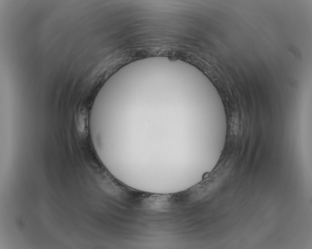 X0000113260138200909101258