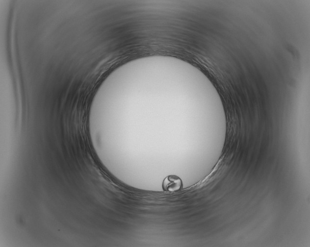 X0000113260140200909101258