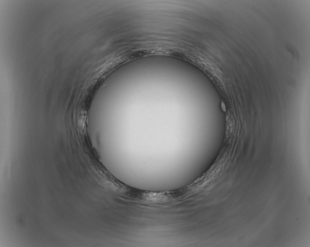 X0000113260141200909101258