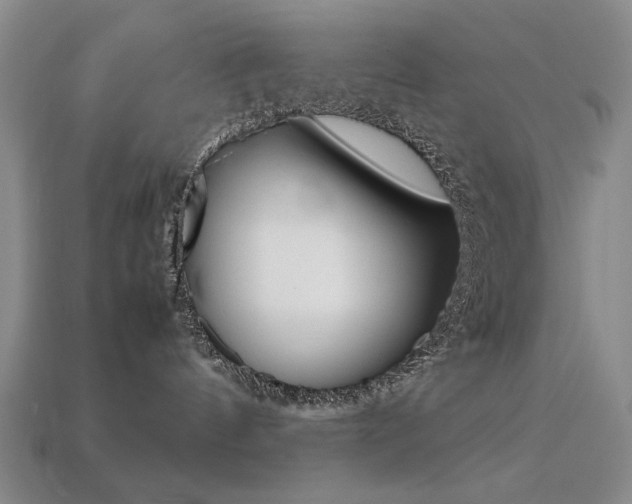 X0000113260144200909101258