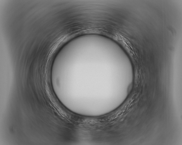 X0000113260145200909101257