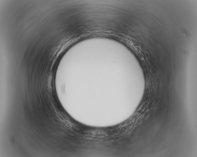 X0000113260146200909101257