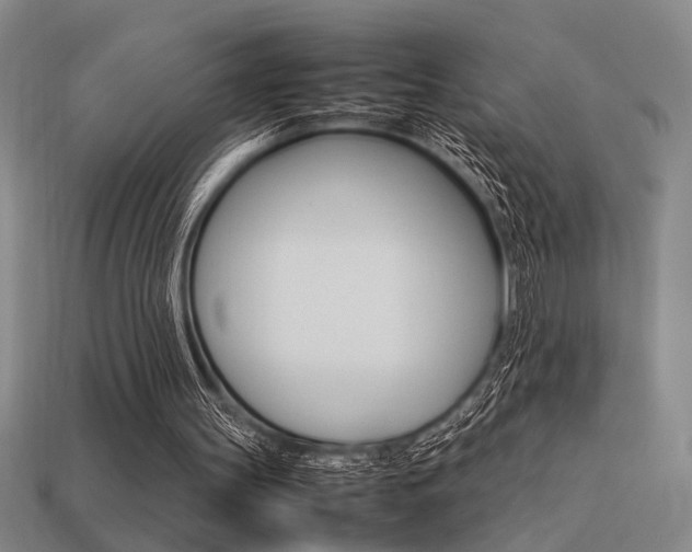 X0000113260147200909101257