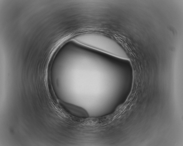 X0000113260148200909101257