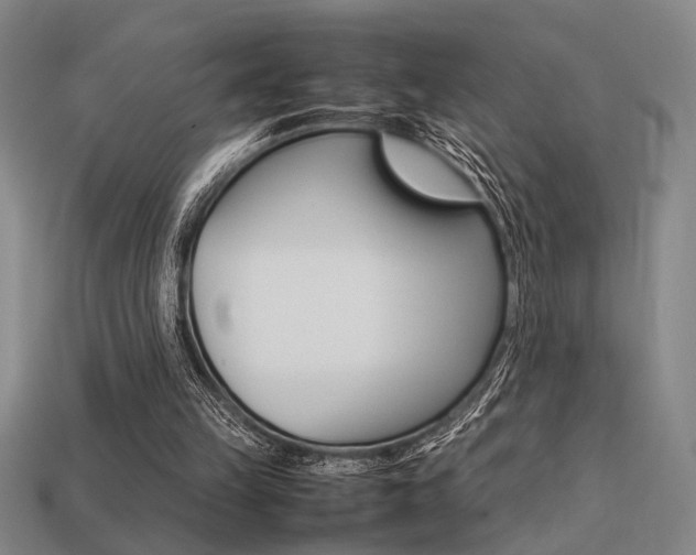 X0000113260149200909101257