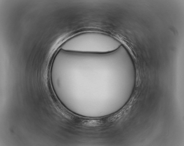 X0000113260151200909101257