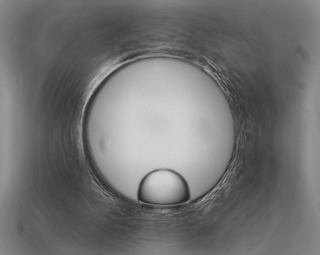 X0000113260152200909101257