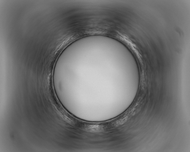 X0000113260153200909101257