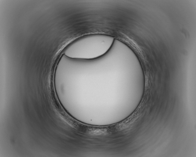 X0000113260155200909101257