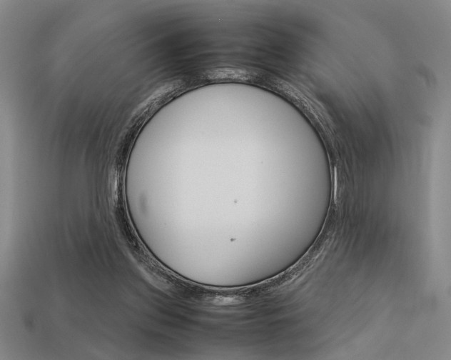 X0000113260157200909101257