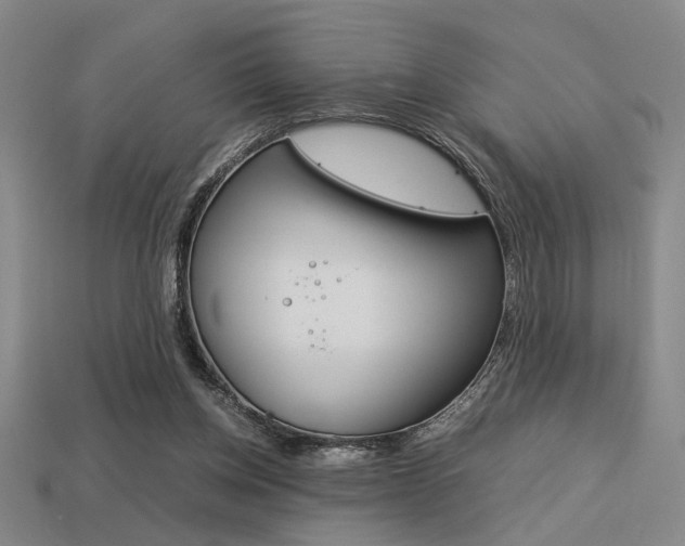 X0000113260158200909101257