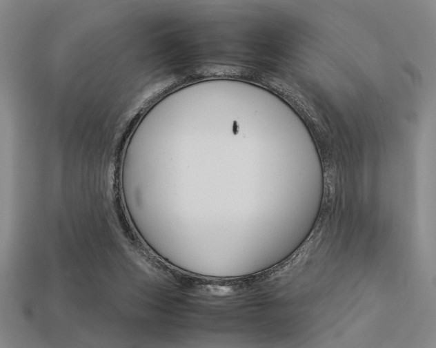 X0000113260159200909101257