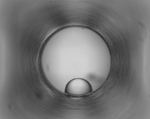 X0000113260160200909101257