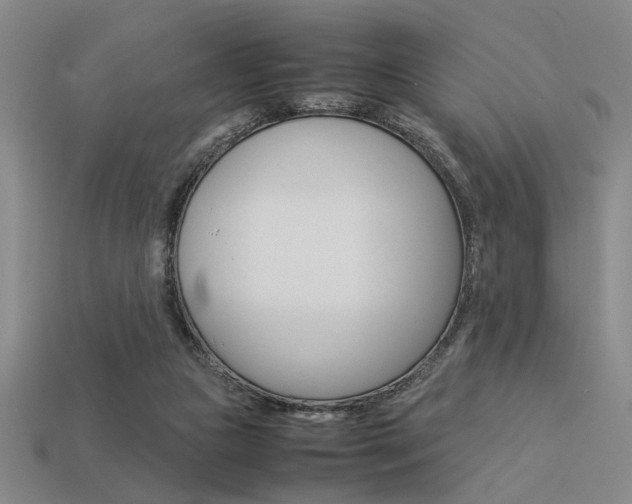 X0000113260161200909101257