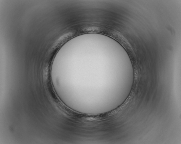 X0000113260163200909101257