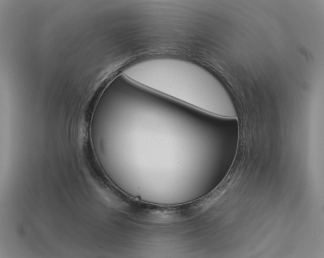 X0000113260164200909101257