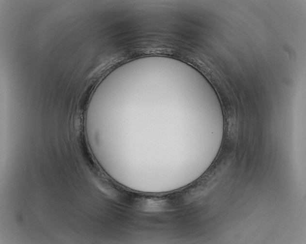 X0000113260165200909101257