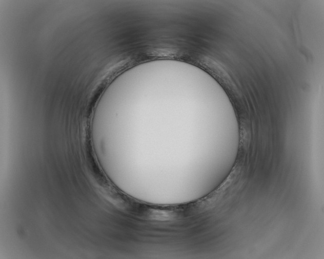 X0000113260167200909101257