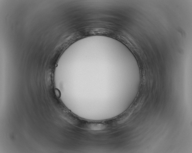 X0000113260169200909101257