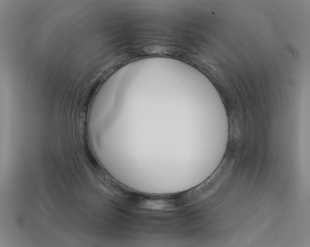 X0000113260171200909101257