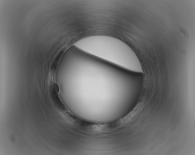 X0000113260172200909101257