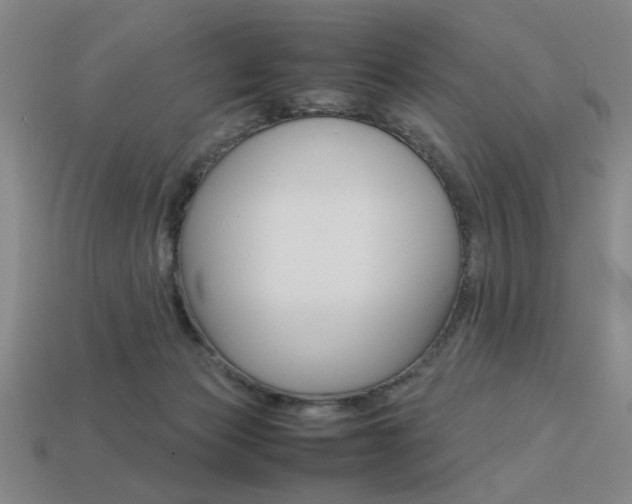 X0000113260173200909101257